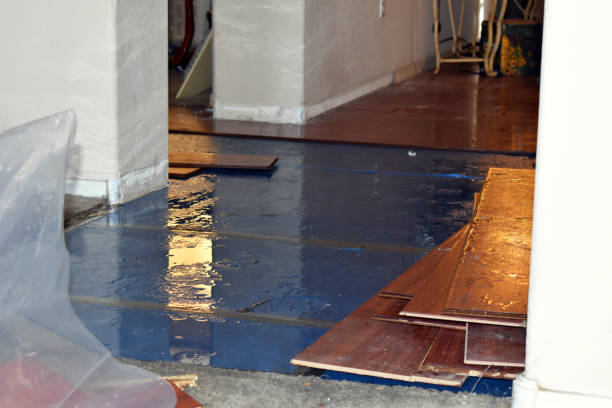 Professional Burst Pipe Cleanup technician working in Sharon Center, OH